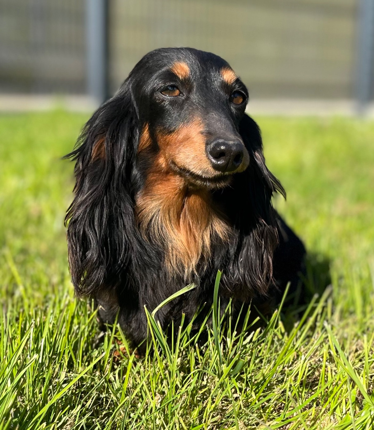 Sensation Des Vents D'Océan