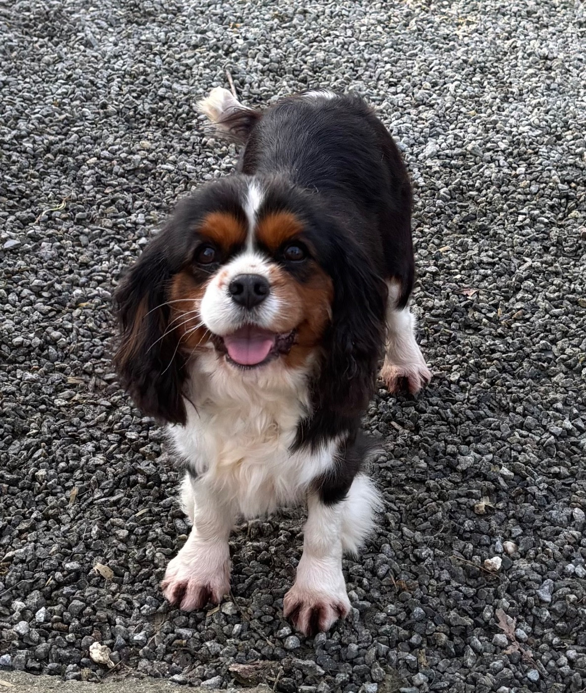 Sanstress Des Vents D'Océan