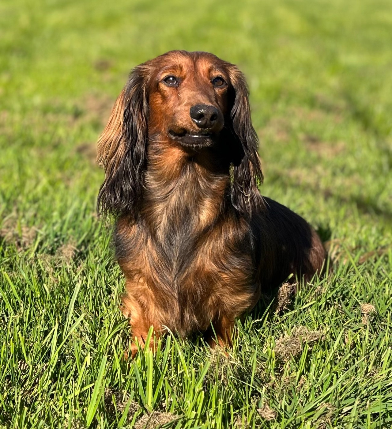 Ultra Des Vents D'Océan