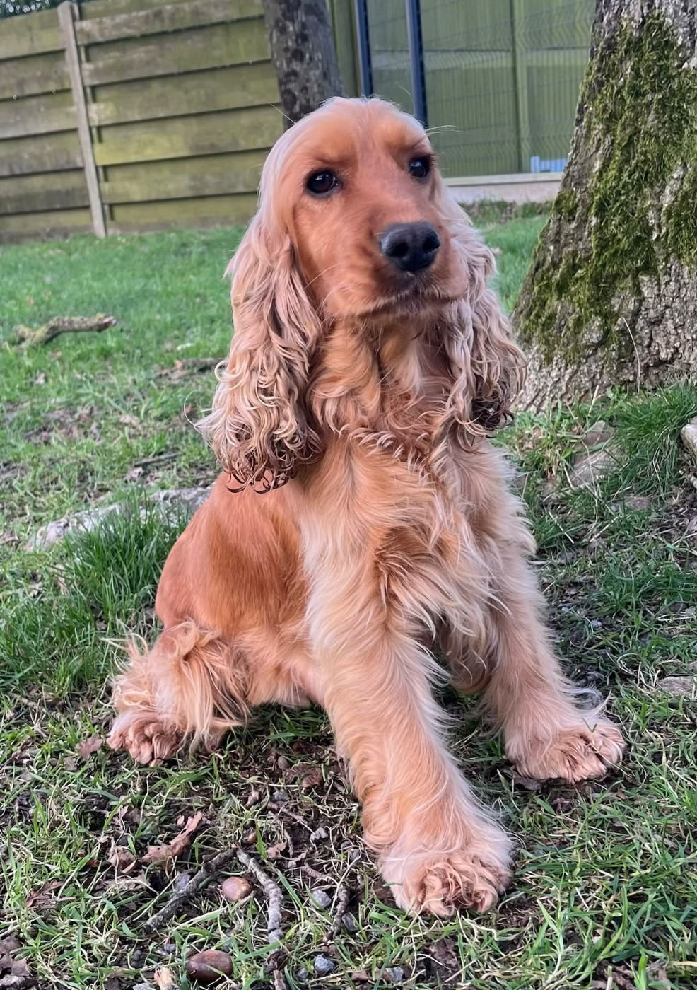 Usa Des Vents D'Océan