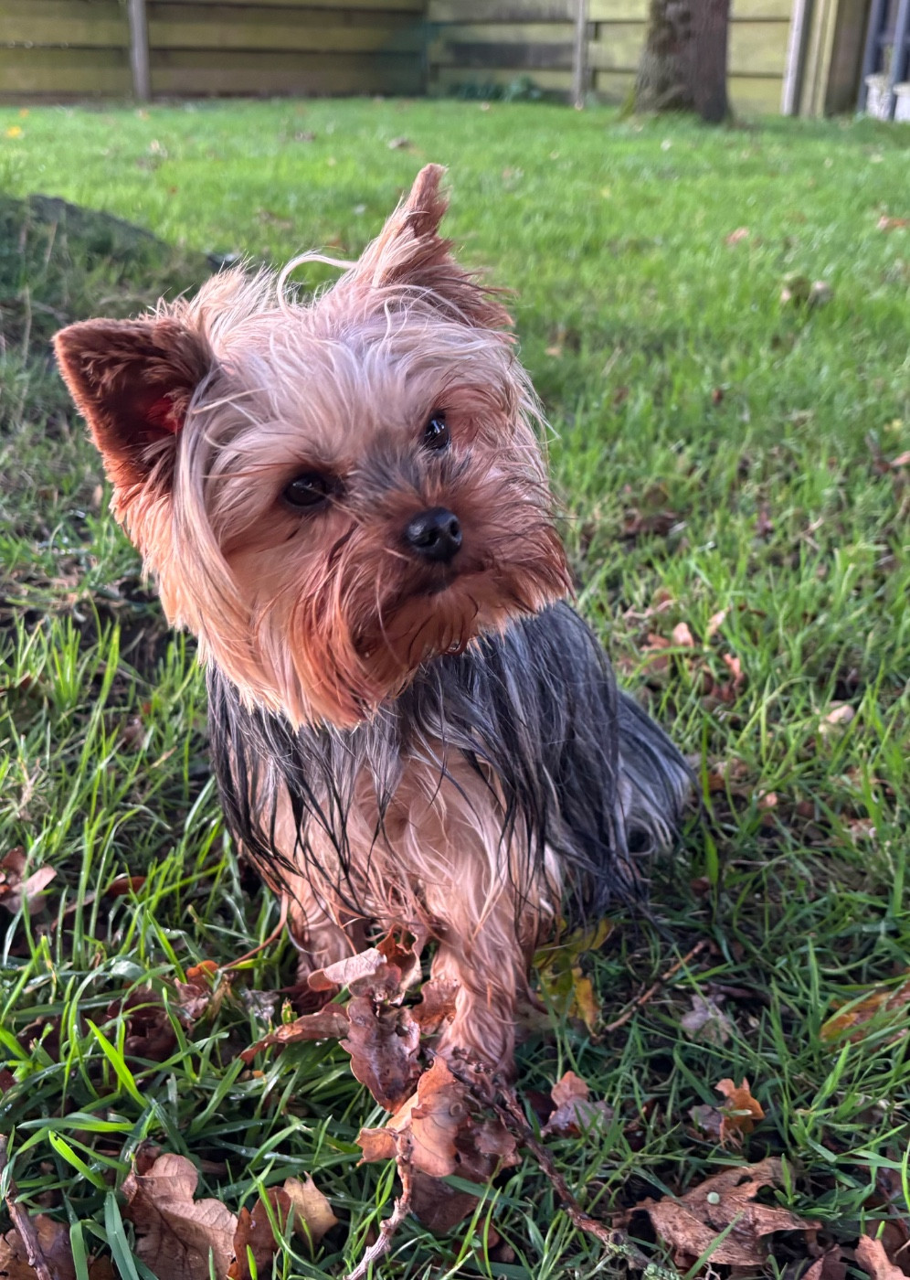 Tentation Des Vents D'Océan