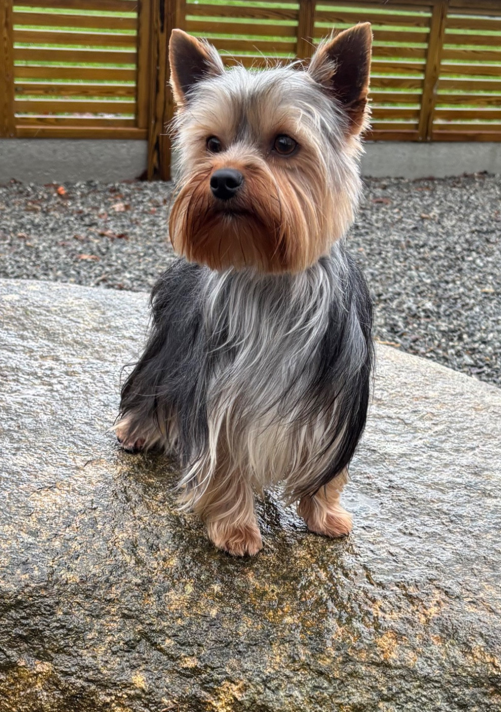 Vasy du moulin de madjurie