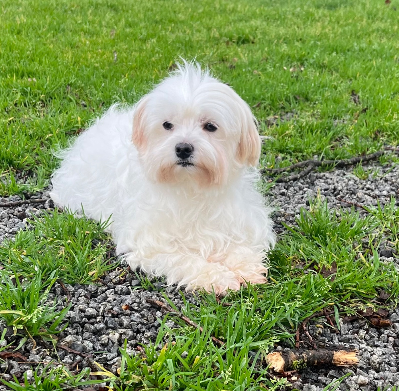 Trankyl Des Vents D'Océan