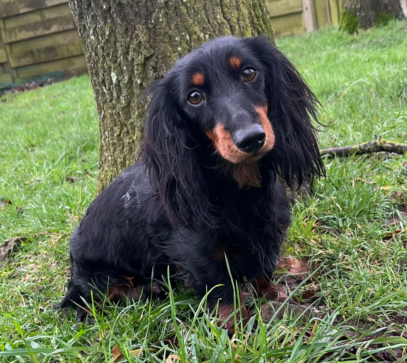 upy Des Vents D'Océan