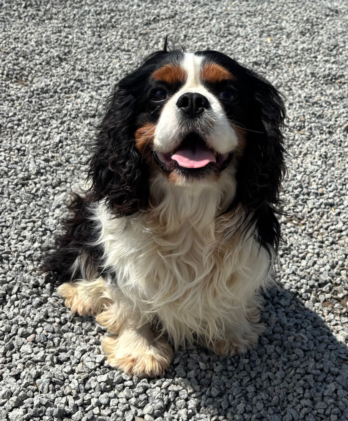 alla de russo yustas