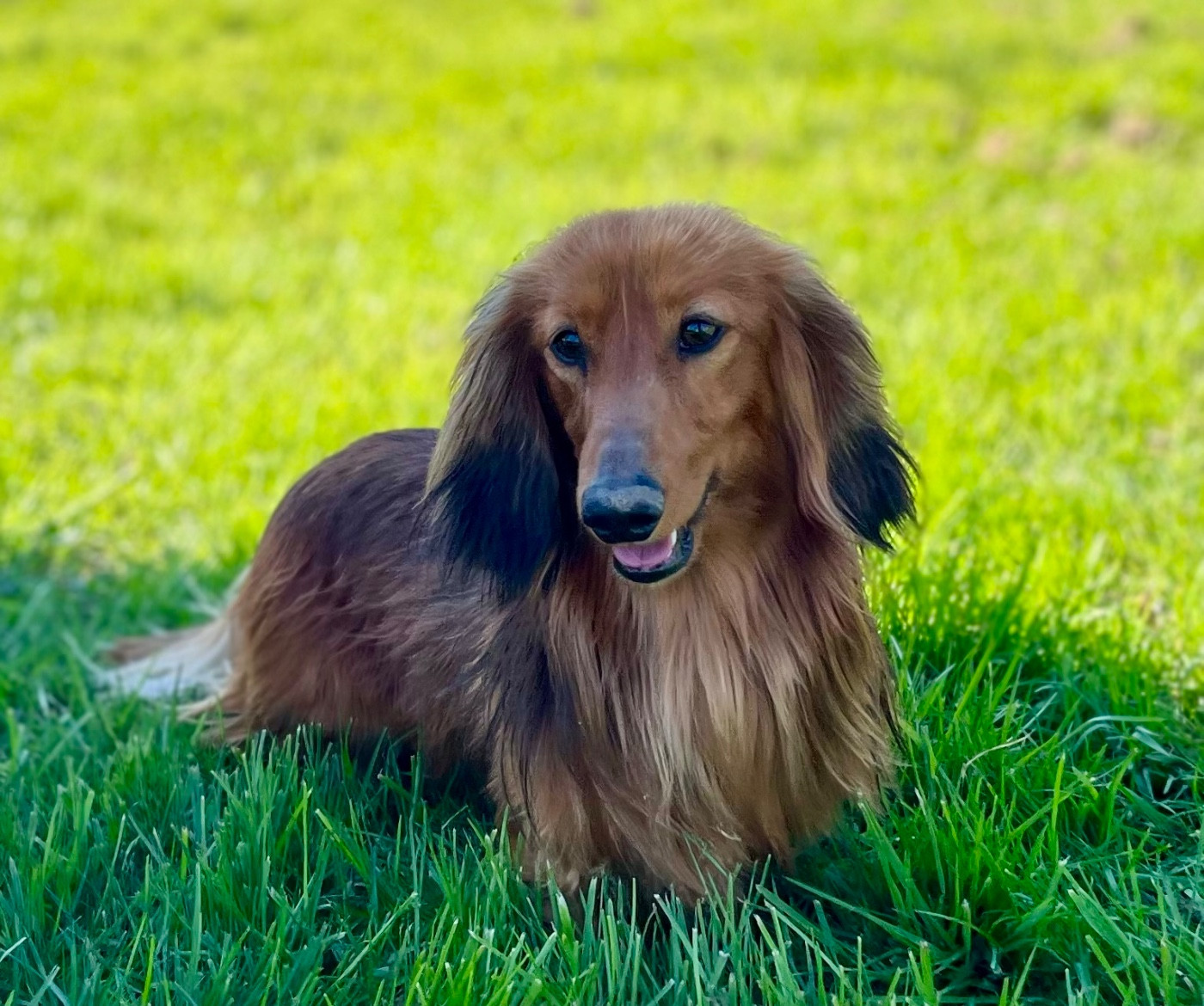 volcan (Sans Affixe)