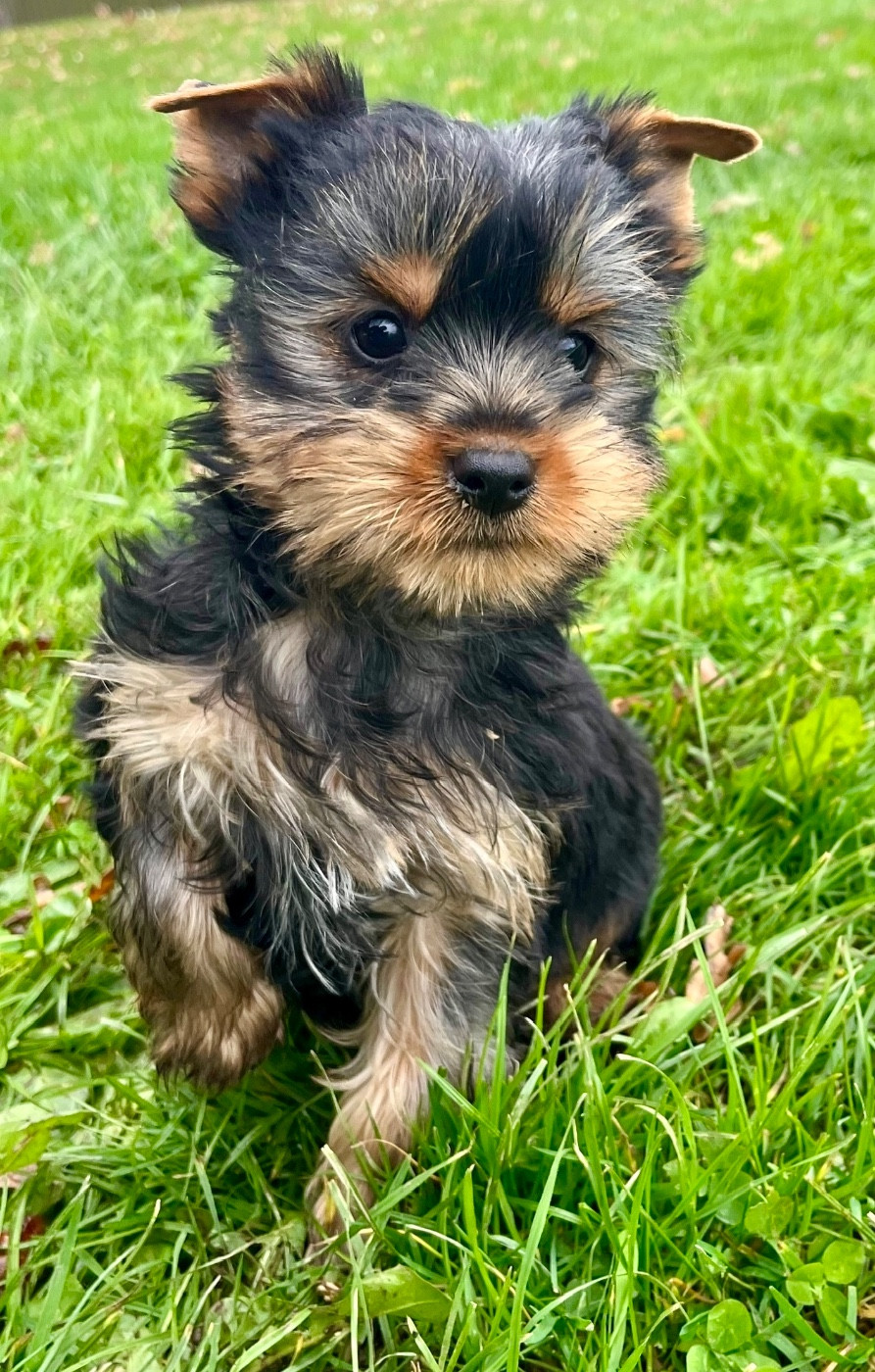 andro est à la recherche de sa famille